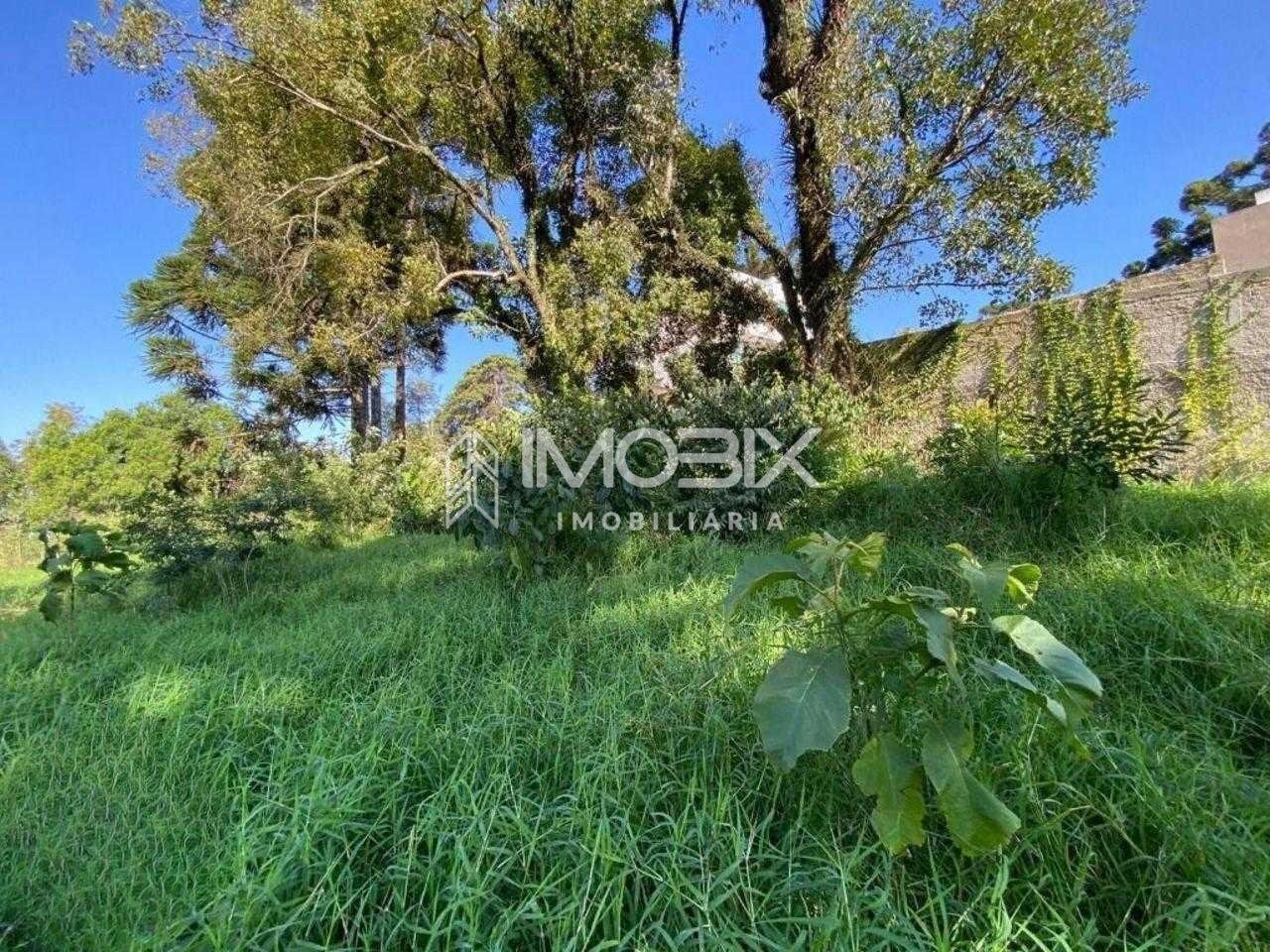 Excelente Terreno à venda,  ZR4, para construção de  prédio  B...