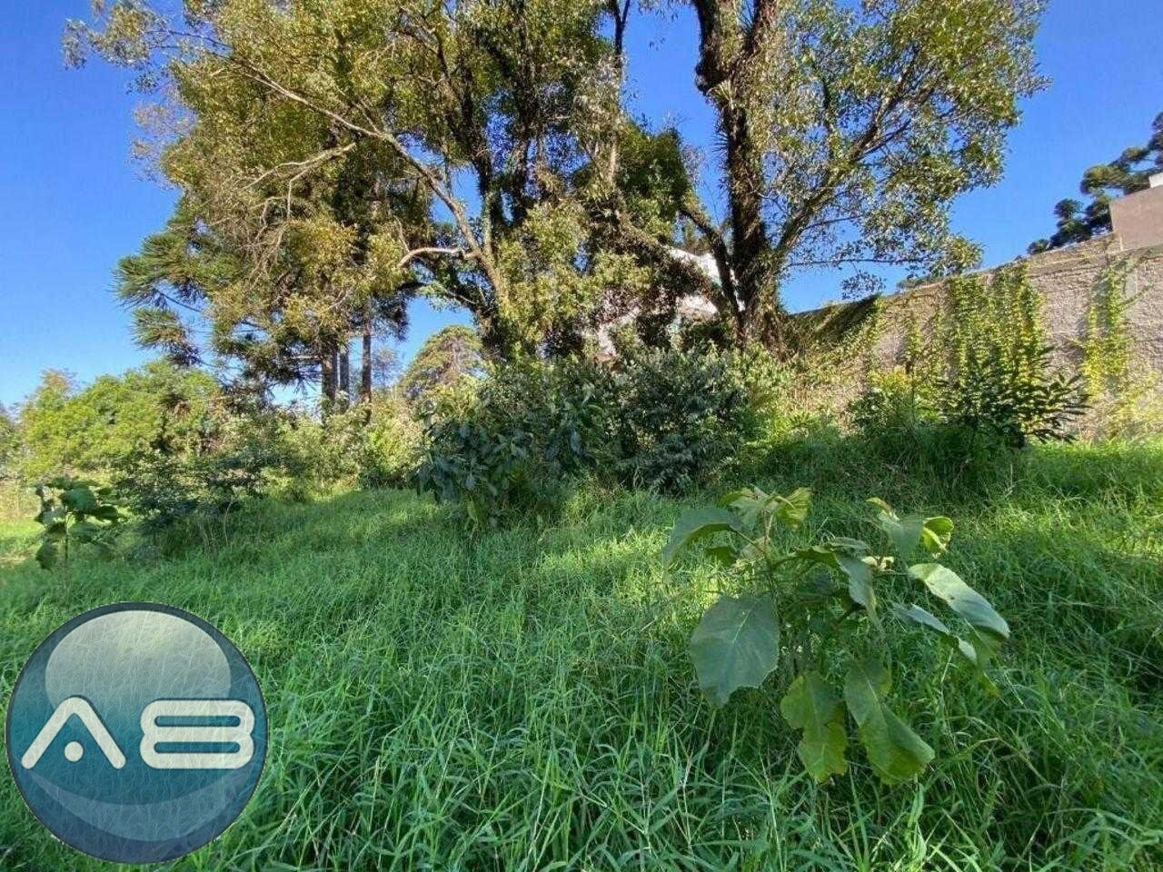 Excelente Terreno à venda,  ZR4, para construção de  prédio  B...