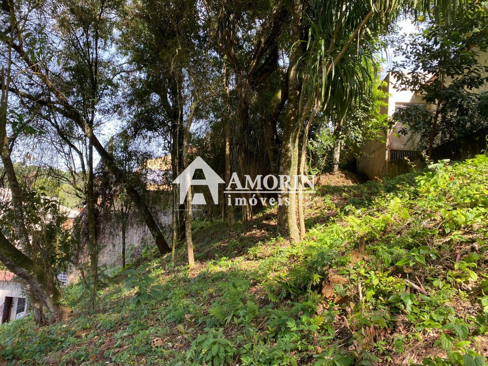 Terreno à venda, com 880 metros, no Abranches,  Em frente ao n...