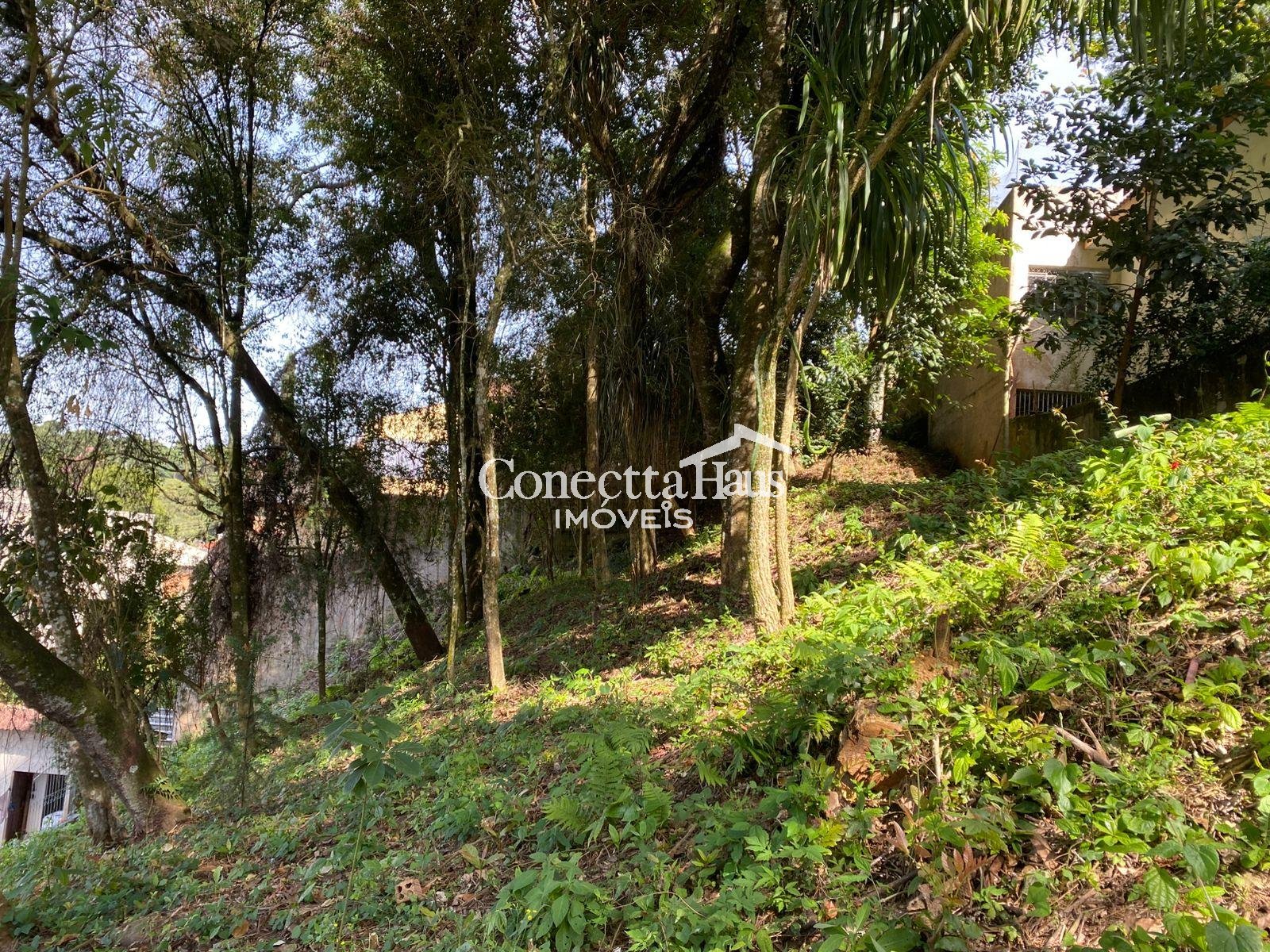 Terreno à venda, com 880 metros, no Abranches,  Em frente ao n...