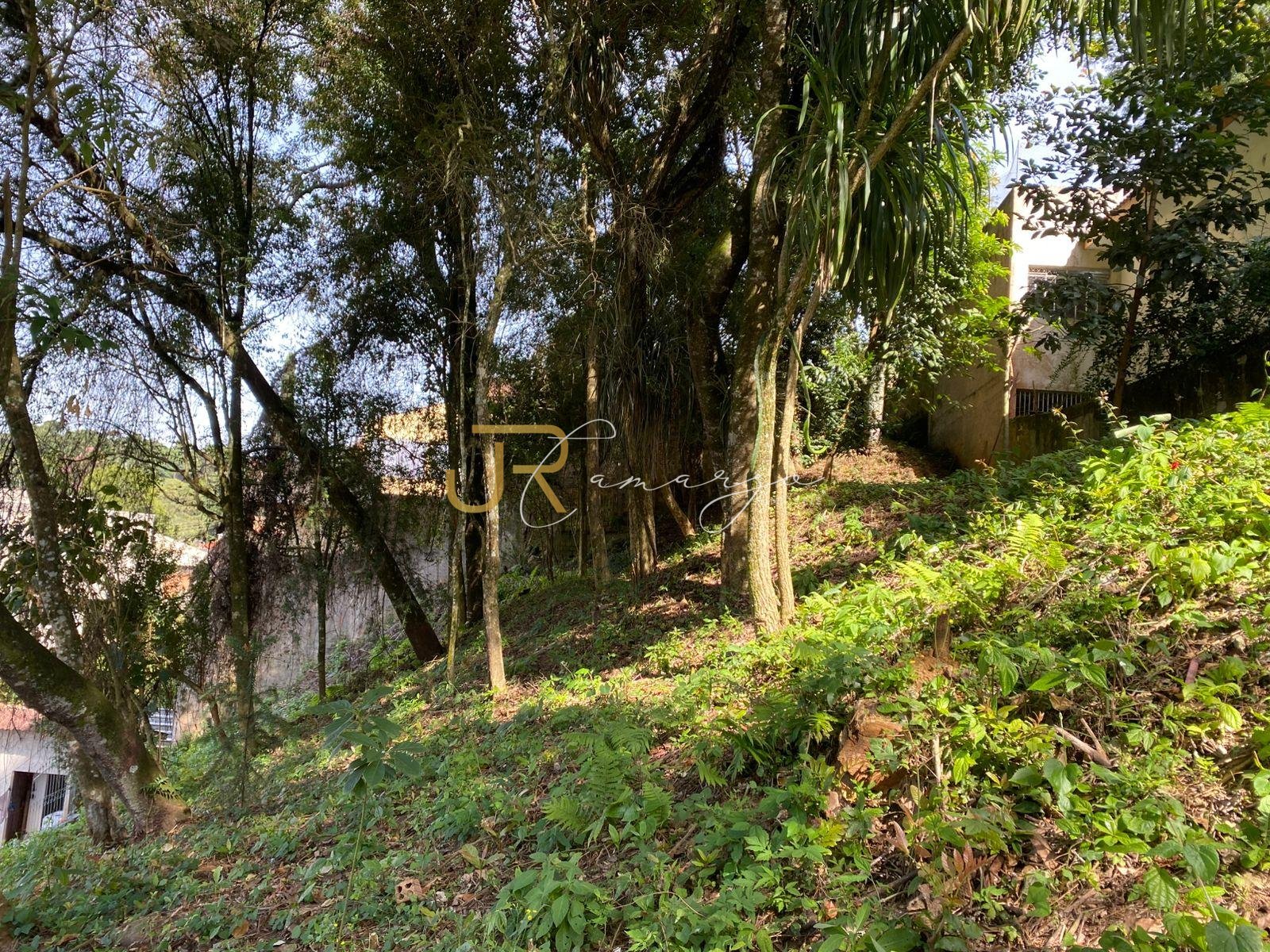 Terreno à venda, com 880 metros, no Abranches,  Em frente ao n...