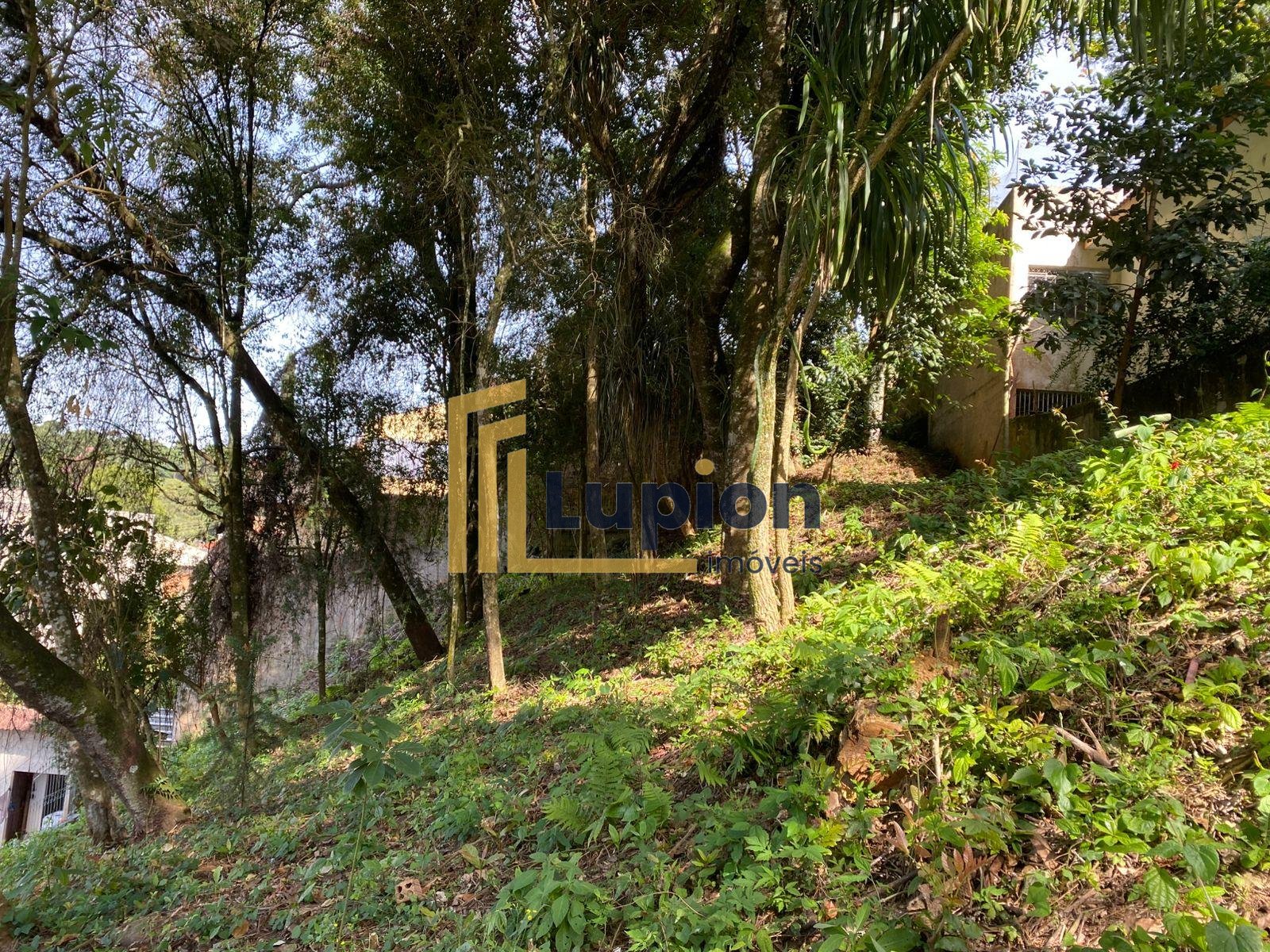Terreno à venda, com 880 metros, no Abranches,  Em frente ao n...