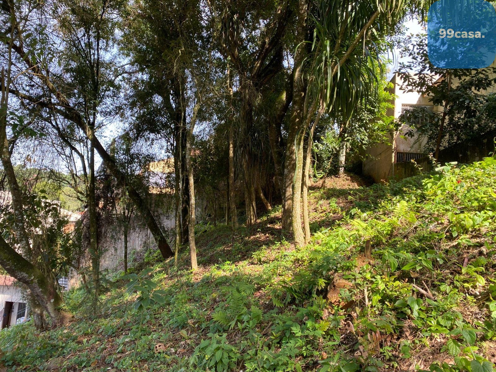 Terreno à venda, com 880 metros, no Abranches,  Em frente ao n...