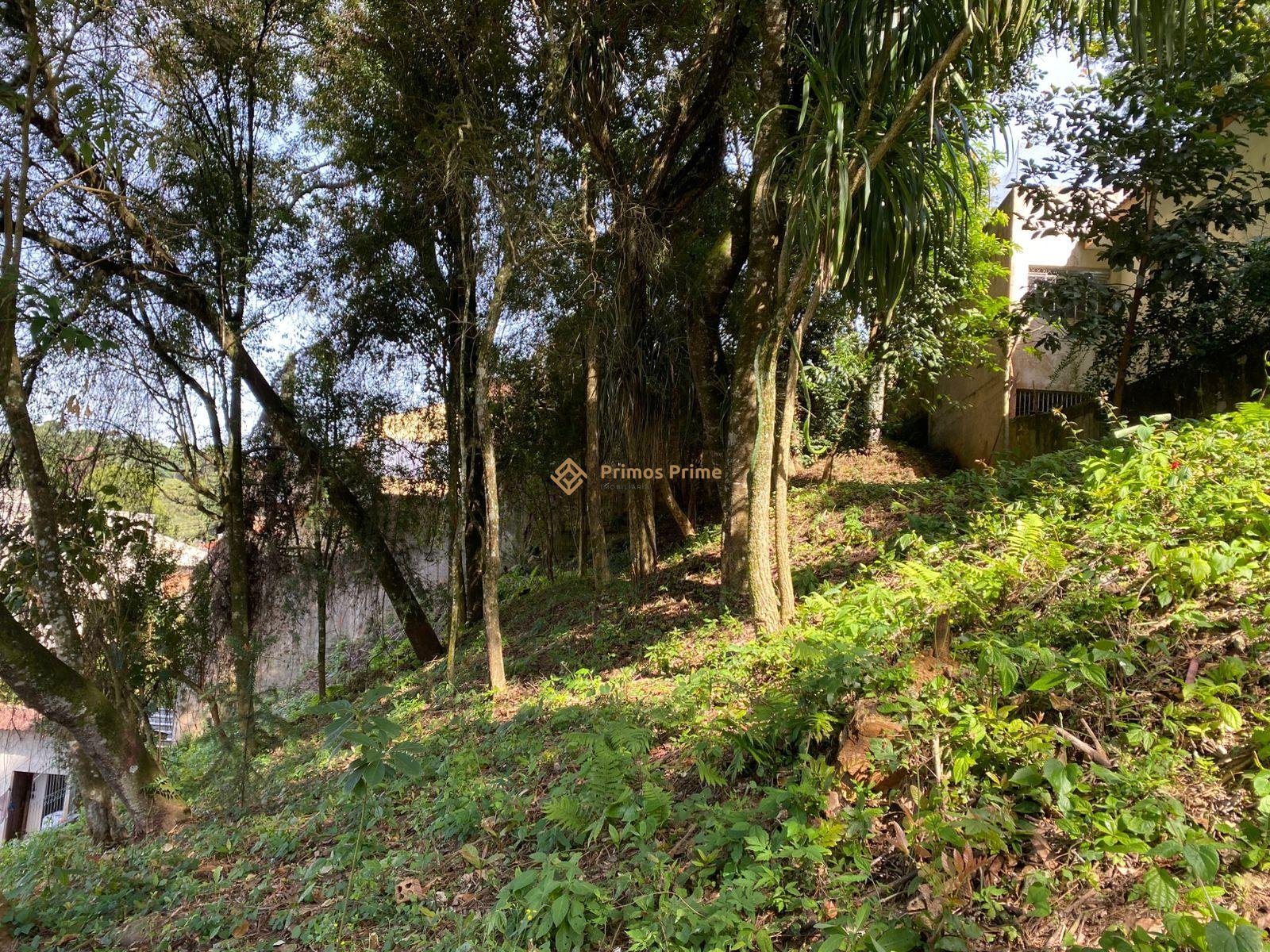 Terreno ? venda, com 880 metros, no Abranches,  Em frente ao n...