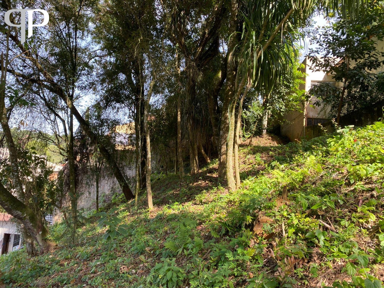 Terreno à venda, com 880 metros, no Abranches,  Em frente ao n...