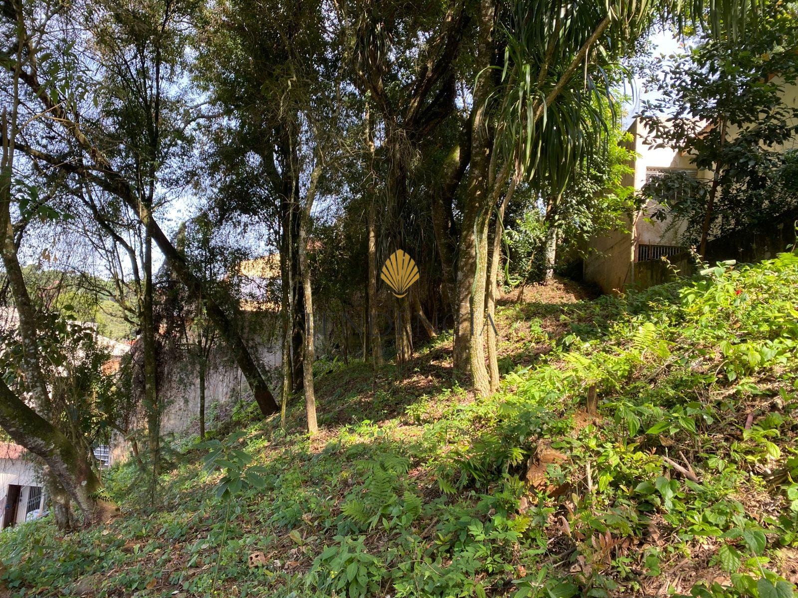 Terreno à venda, com 880 metros, no Abranches,  Em frente ao n...