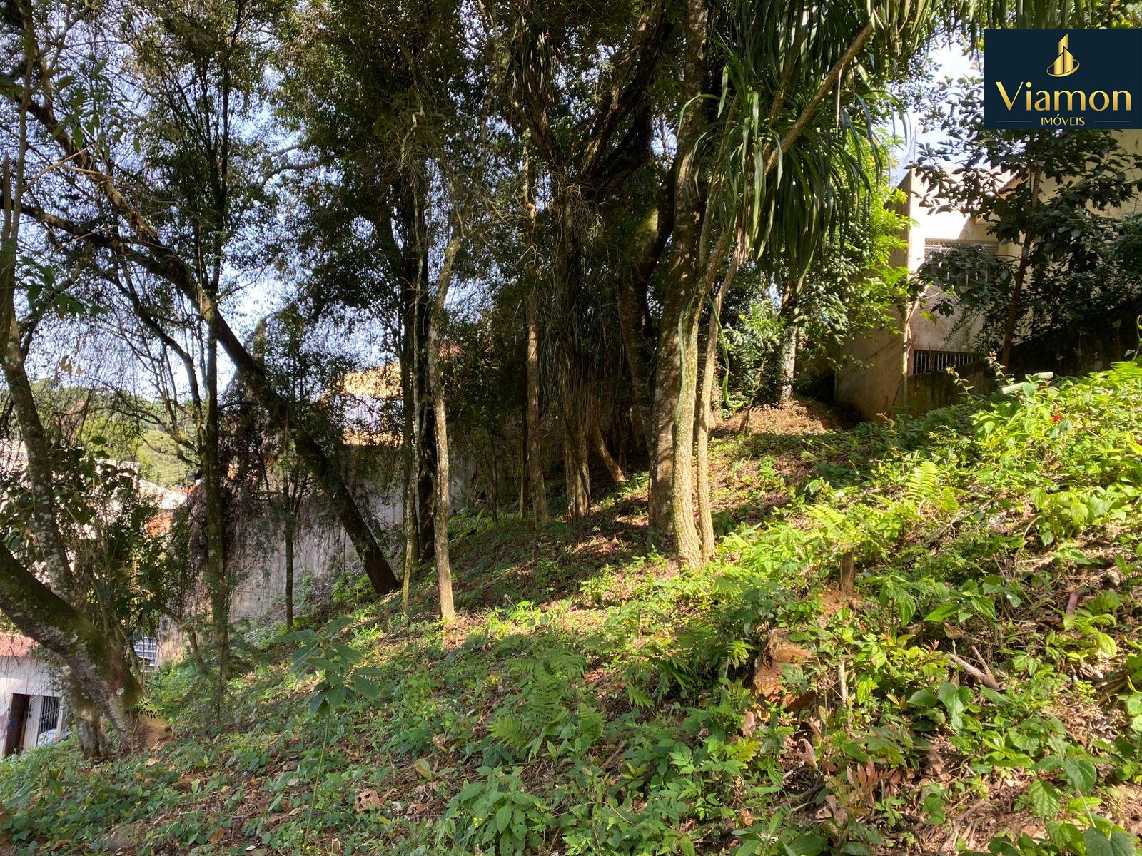 Terreno à venda, com 880 metros, no Abranches,  Em frente ao n...