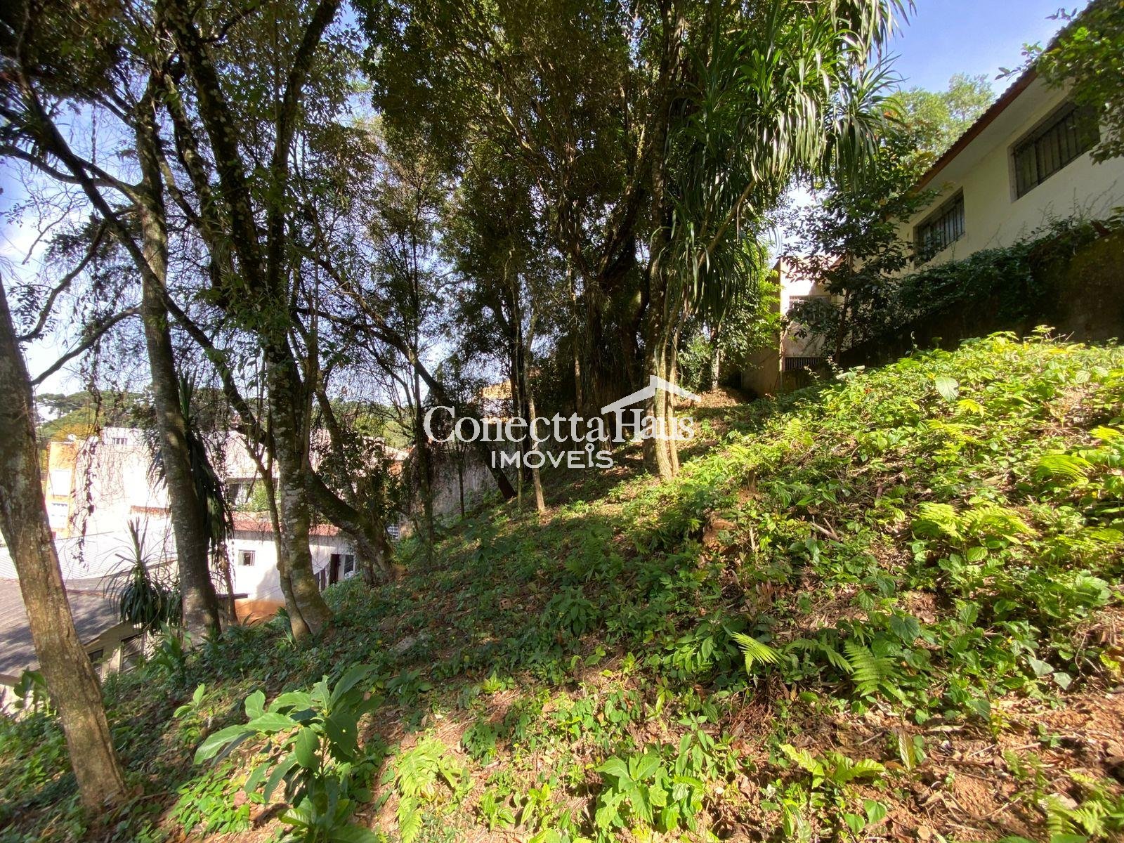 Terreno à venda, com 880 metros, no Abranches,  Em frente ao n...
