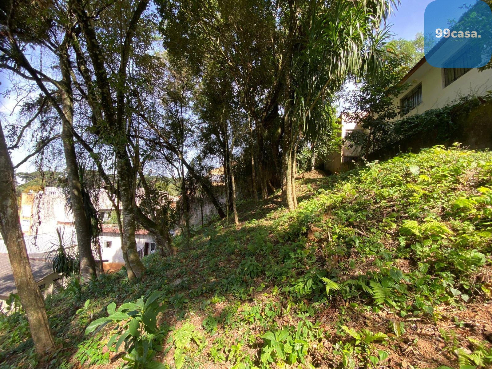 Terreno à venda, com 880 metros, no Abranches,  Em frente ao n...