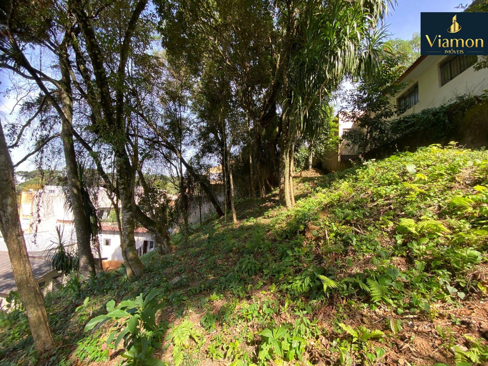 Terreno à venda, com 880 metros, no Abranches,  Em frente ao n...