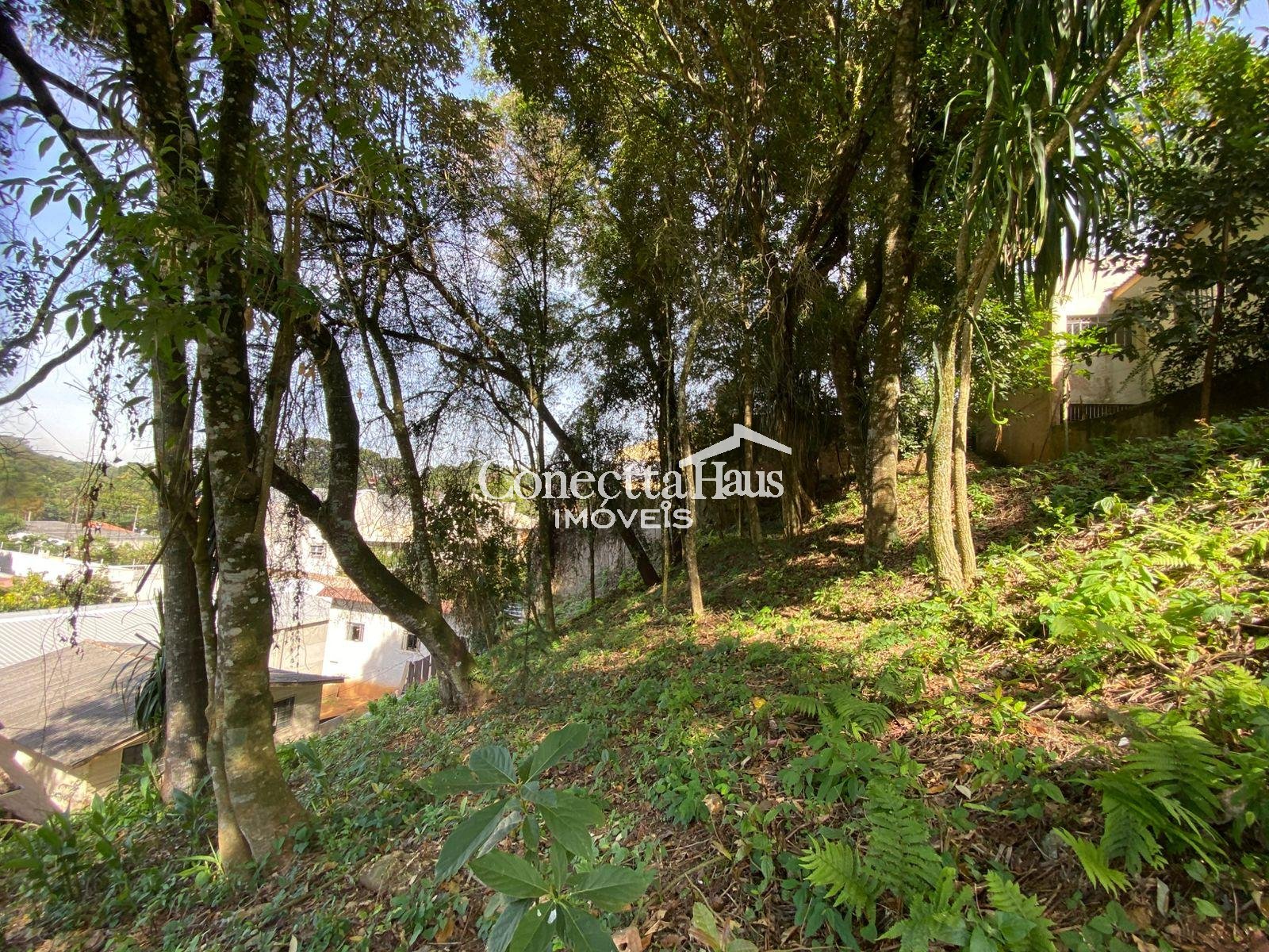 Terreno à venda, com 880 metros, no Abranches,  Em frente ao n...