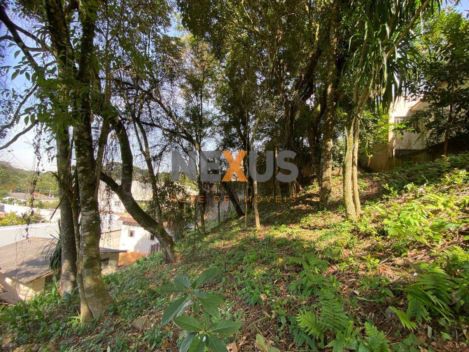 Terreno à venda, com 880 metros, no Abranches,  Em frente ao n...