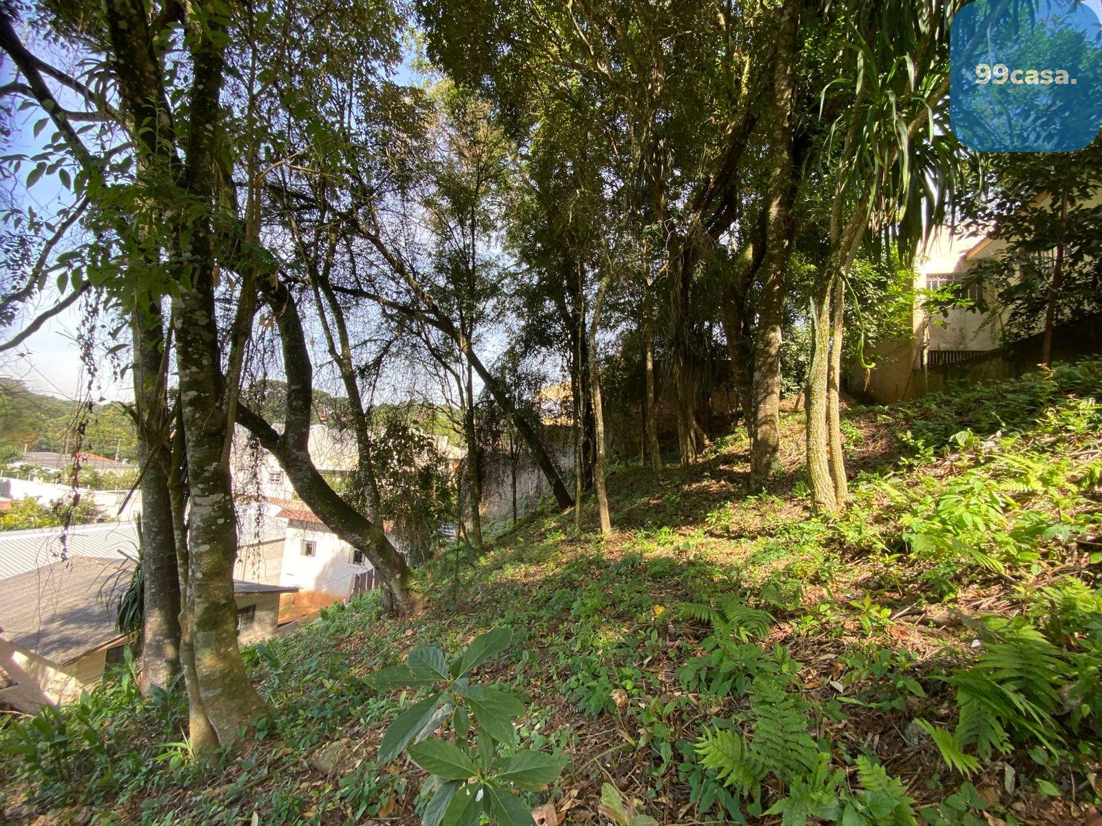Terreno à venda, com 880 metros, no Abranches,  Em frente ao n...