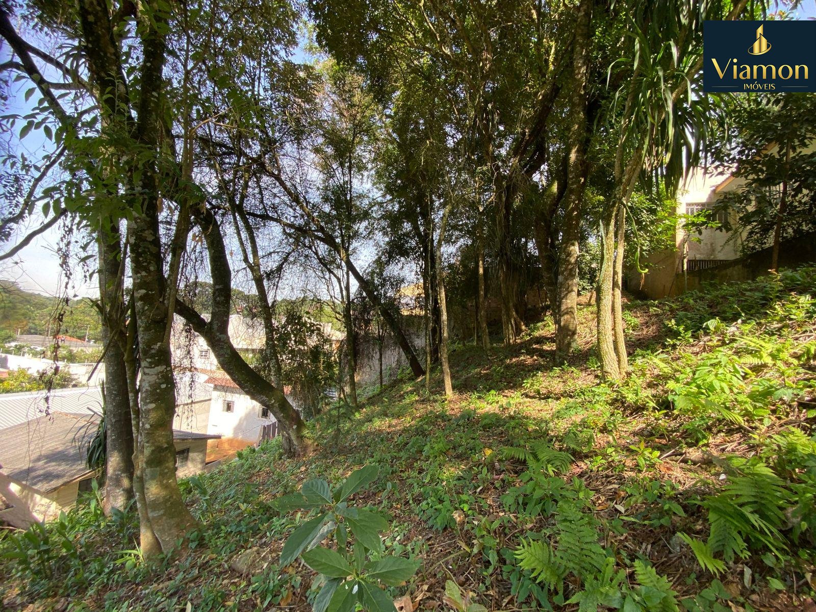 Terreno à venda, com 880 metros, no Abranches,  Em frente ao n...