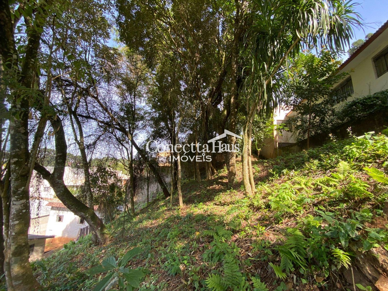 Terreno à venda, com 880 metros, no Abranches,  Em frente ao n...