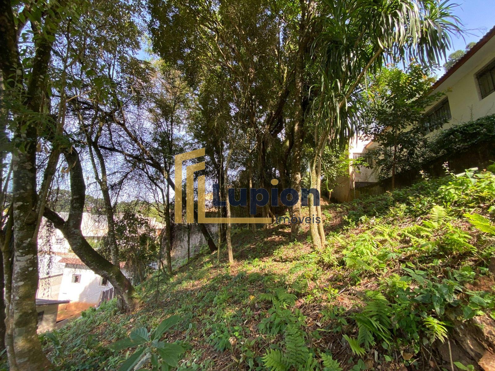 Terreno à venda, com 880 metros, no Abranches,  Em frente ao n...