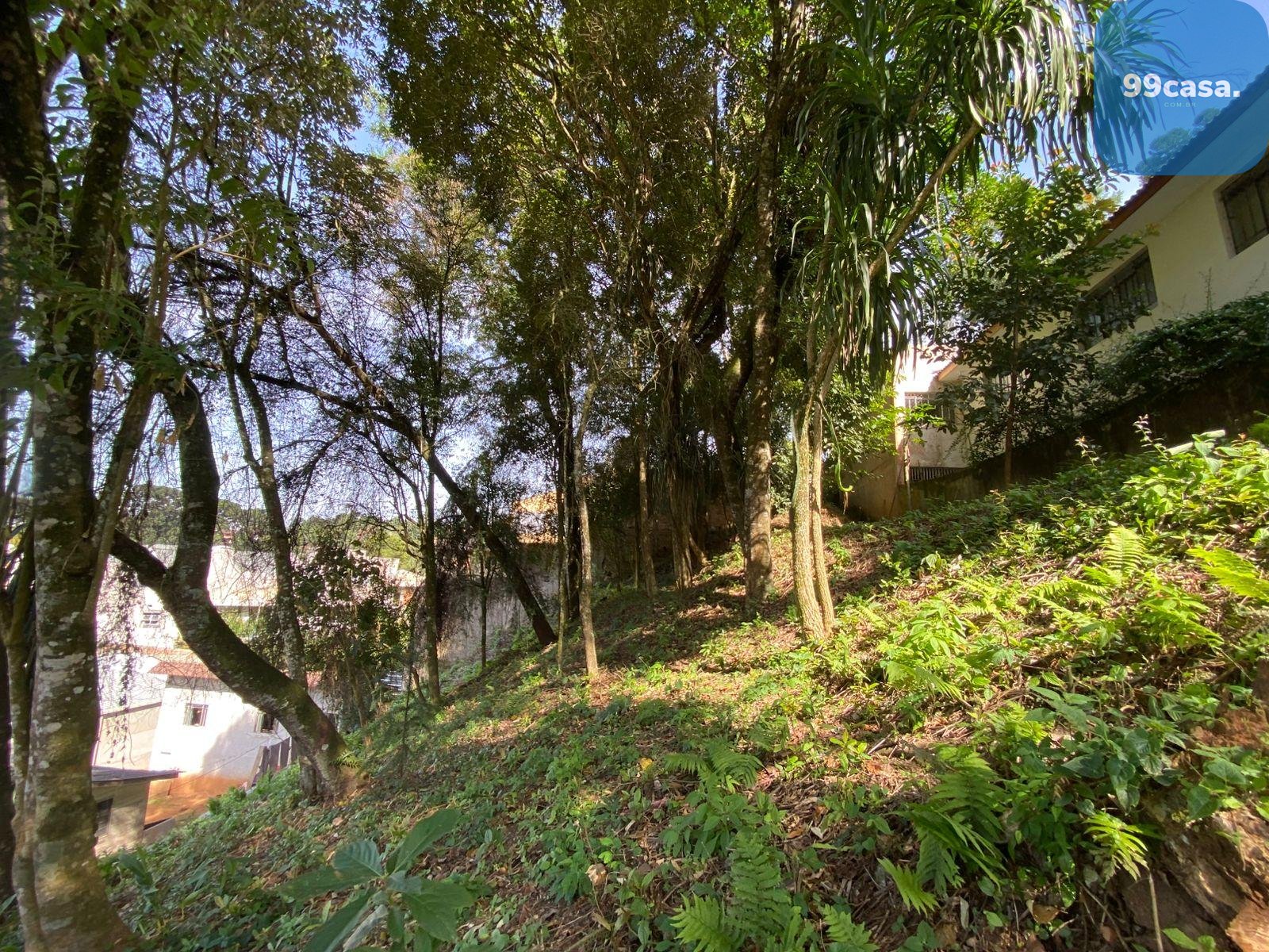 Terreno à venda, com 880 metros, no Abranches,  Em frente ao n...