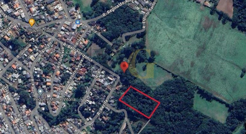 Chácara à venda, 22.338 m  Campo do Meio, Campo Largo - PR