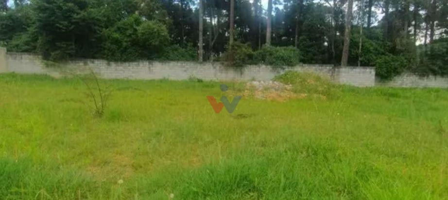 Terreno à venda, GRALHA AZUL  , FAZENDA RIO GRANDE - PR