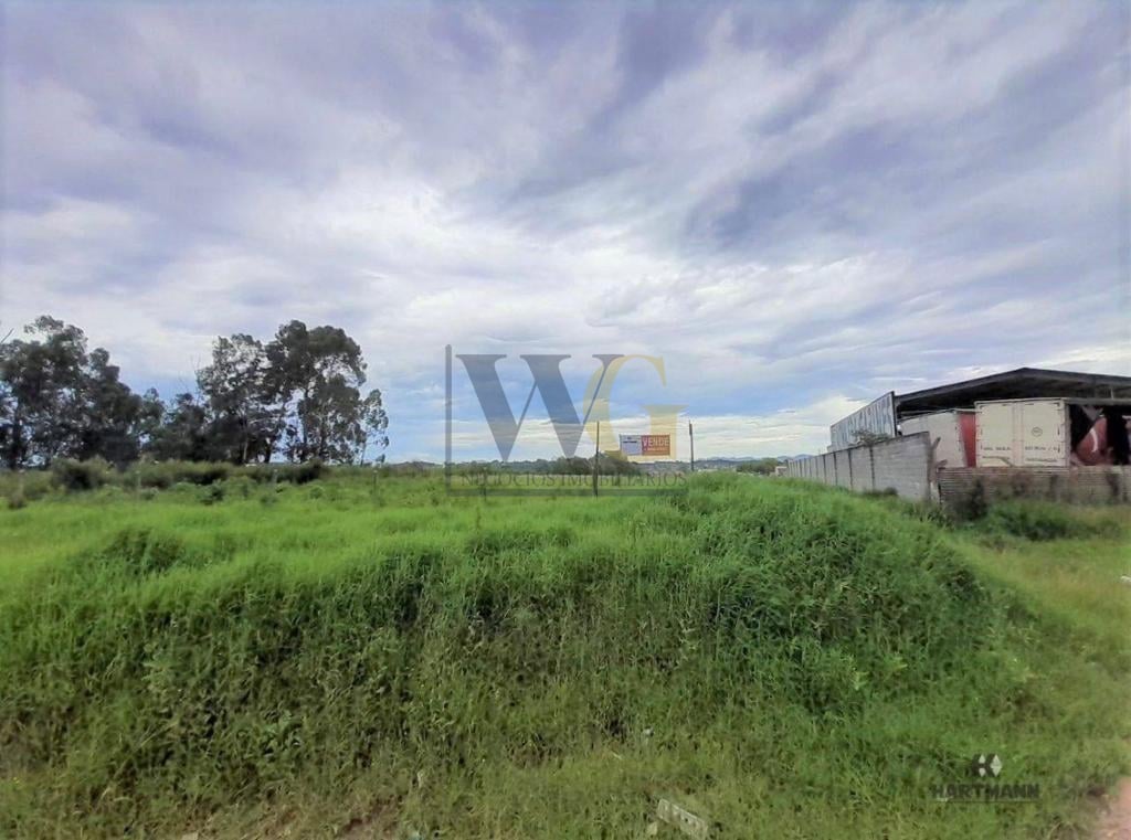 Terreno à venda, RIO PEQUENO  , SAO JOSE DOS PINHAIS - PR