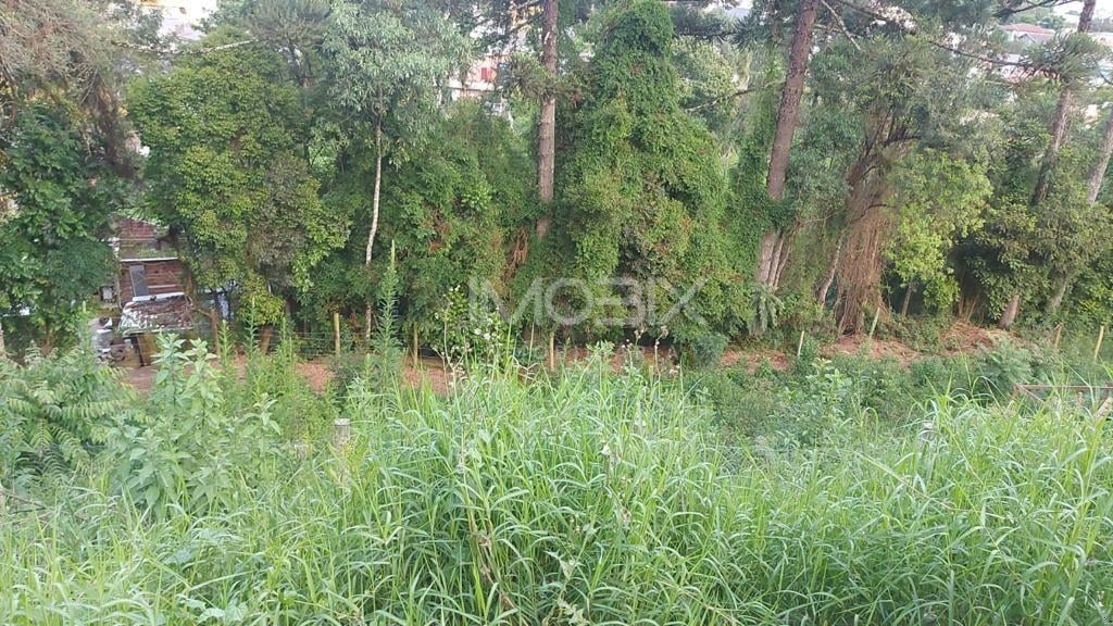 Terreno à venda, ABRANCHES  , CURITIBA - PR