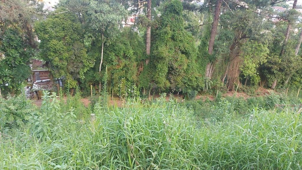 Terreno à venda, ABRANCHES  , CURITIBA - PR