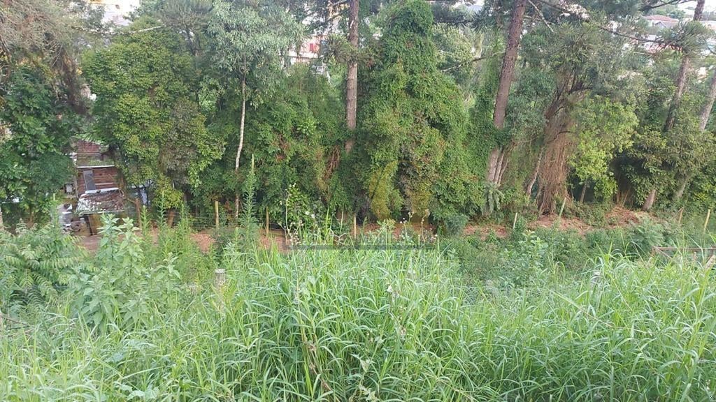 Terreno à venda, ABRANCHES  , CURITIBA - PR