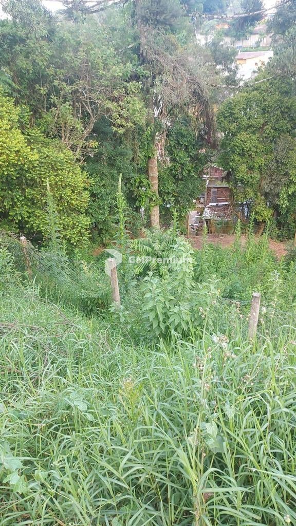 Terreno à venda, ABRANCHES  , CURITIBA - PR