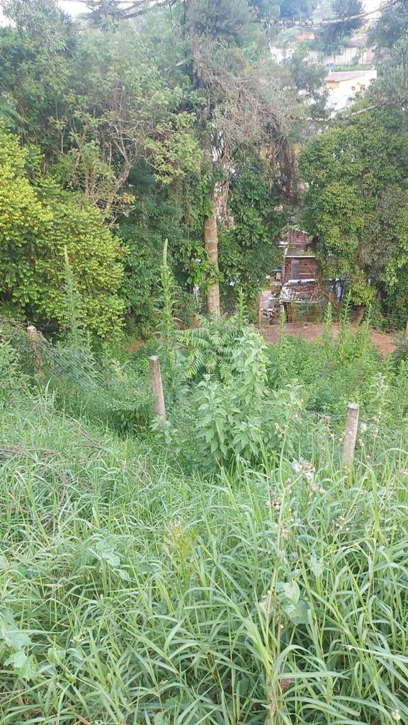Terreno à venda, ABRANCHES  , CURITIBA - PR