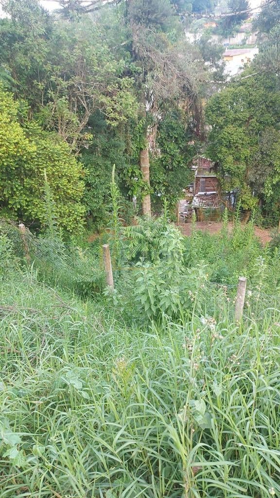 Terreno à venda, ABRANCHES  , CURITIBA - PR