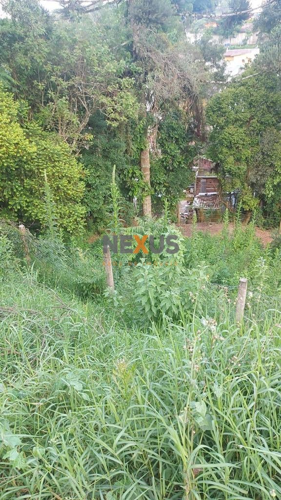 Terreno à venda, ABRANCHES  , CURITIBA - PR