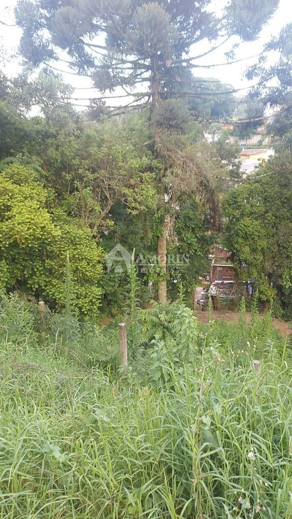 Terreno à venda, ABRANCHES  , CURITIBA - PR