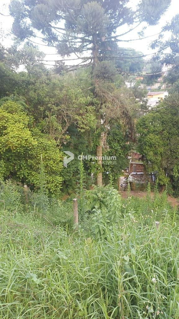 Terreno à venda, ABRANCHES  , CURITIBA - PR