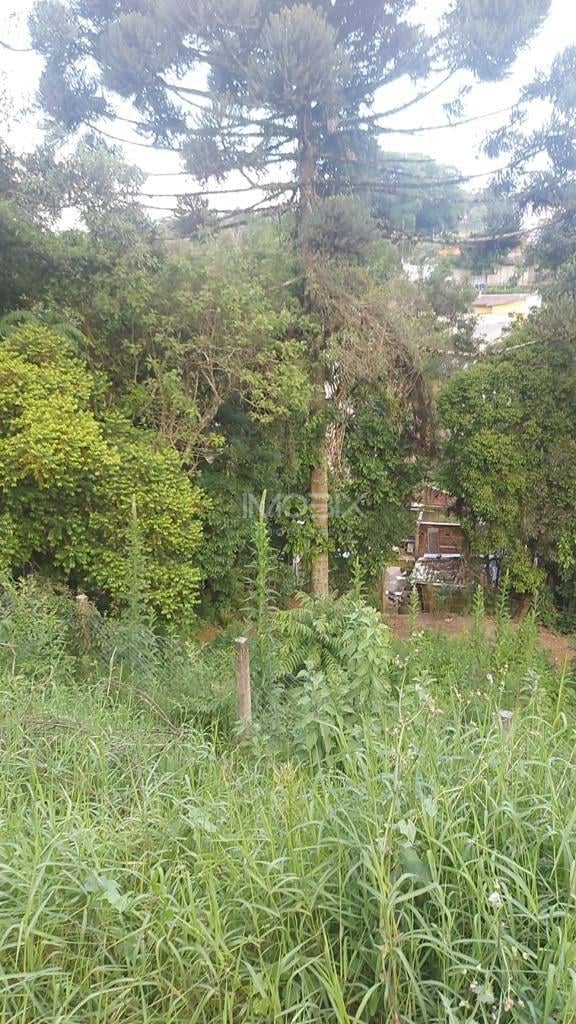 Terreno à venda, ABRANCHES  , CURITIBA - PR