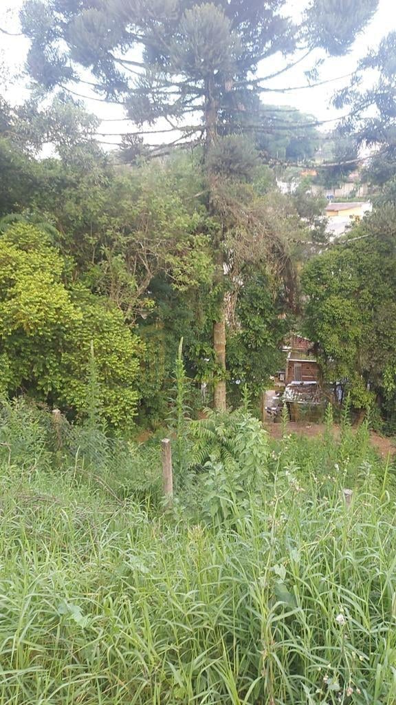 Terreno à venda, ABRANCHES  , CURITIBA - PR
