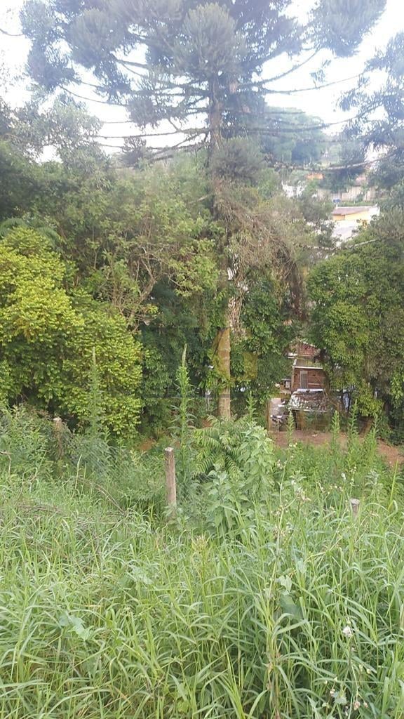 Terreno à venda, ABRANCHES  , CURITIBA - PR