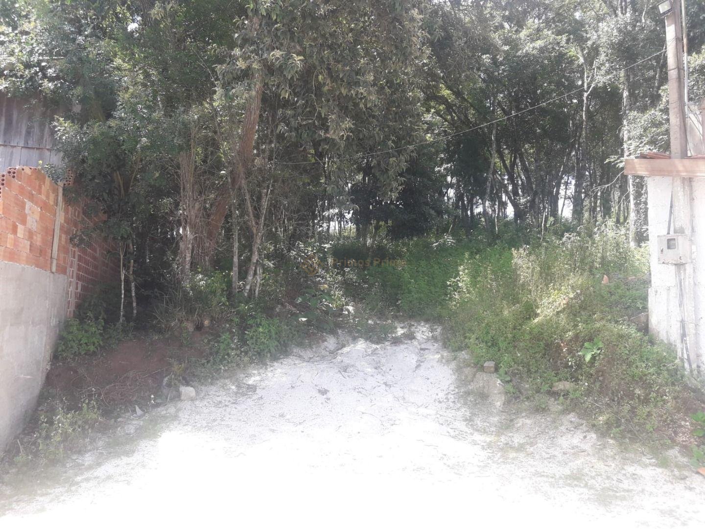 Terreno ? venda, VILA GUARANI  , COLOMBO - PR