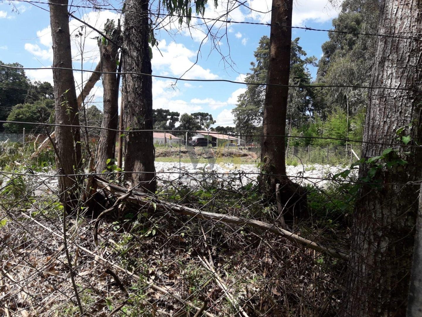 Terreno à venda, VILA GUARANI  , COLOMBO - PR