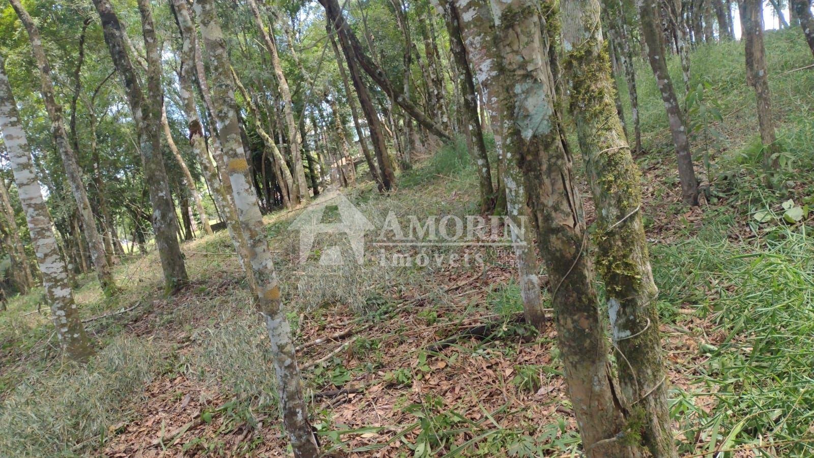 Terreno à venda, VILA GUARANI  , COLOMBO - PR