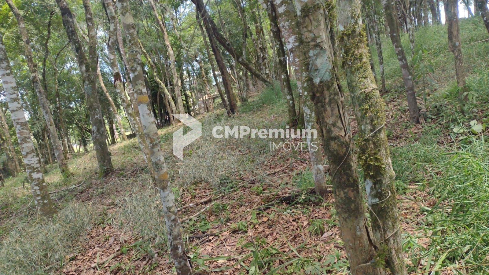 Terreno à venda, VILA GUARANI  , COLOMBO - PR