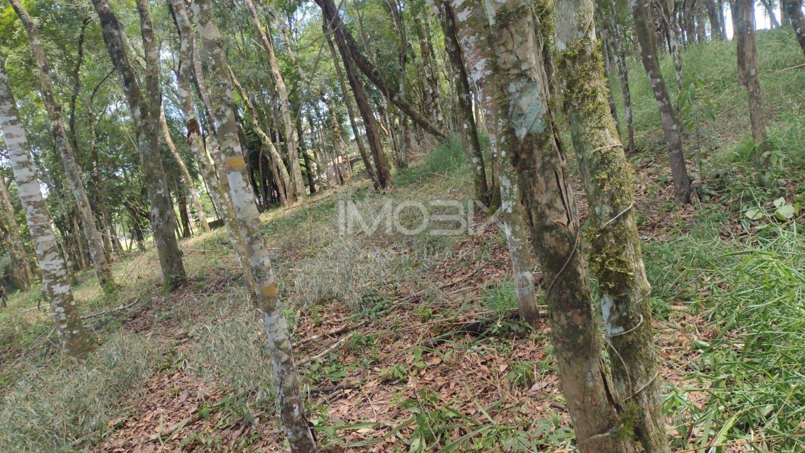 Terreno à venda, VILA GUARANI  , COLOMBO - PR