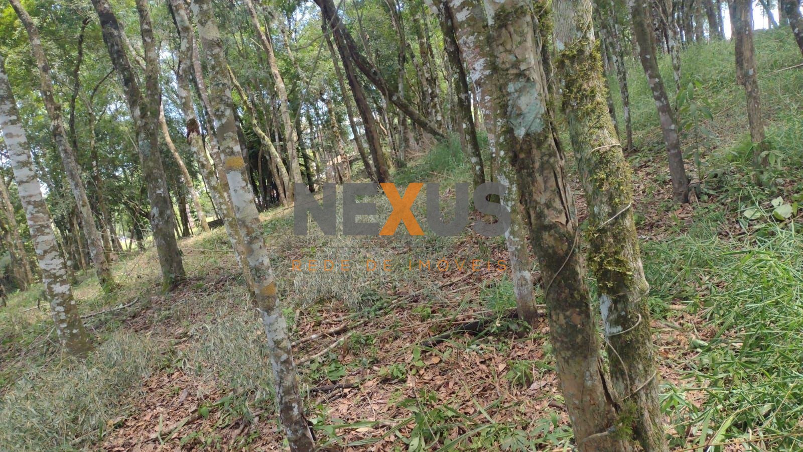 Terreno à venda, VILA GUARANI  , COLOMBO - PR