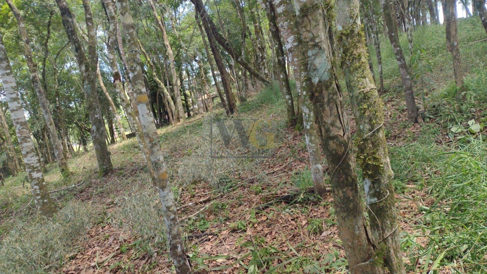Terreno à venda, VILA GUARANI  , COLOMBO - PR