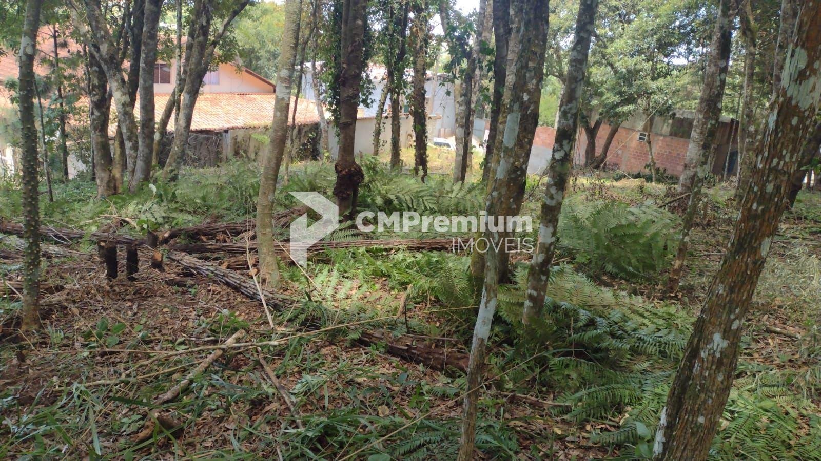 Terreno à venda, VILA GUARANI  , COLOMBO - PR