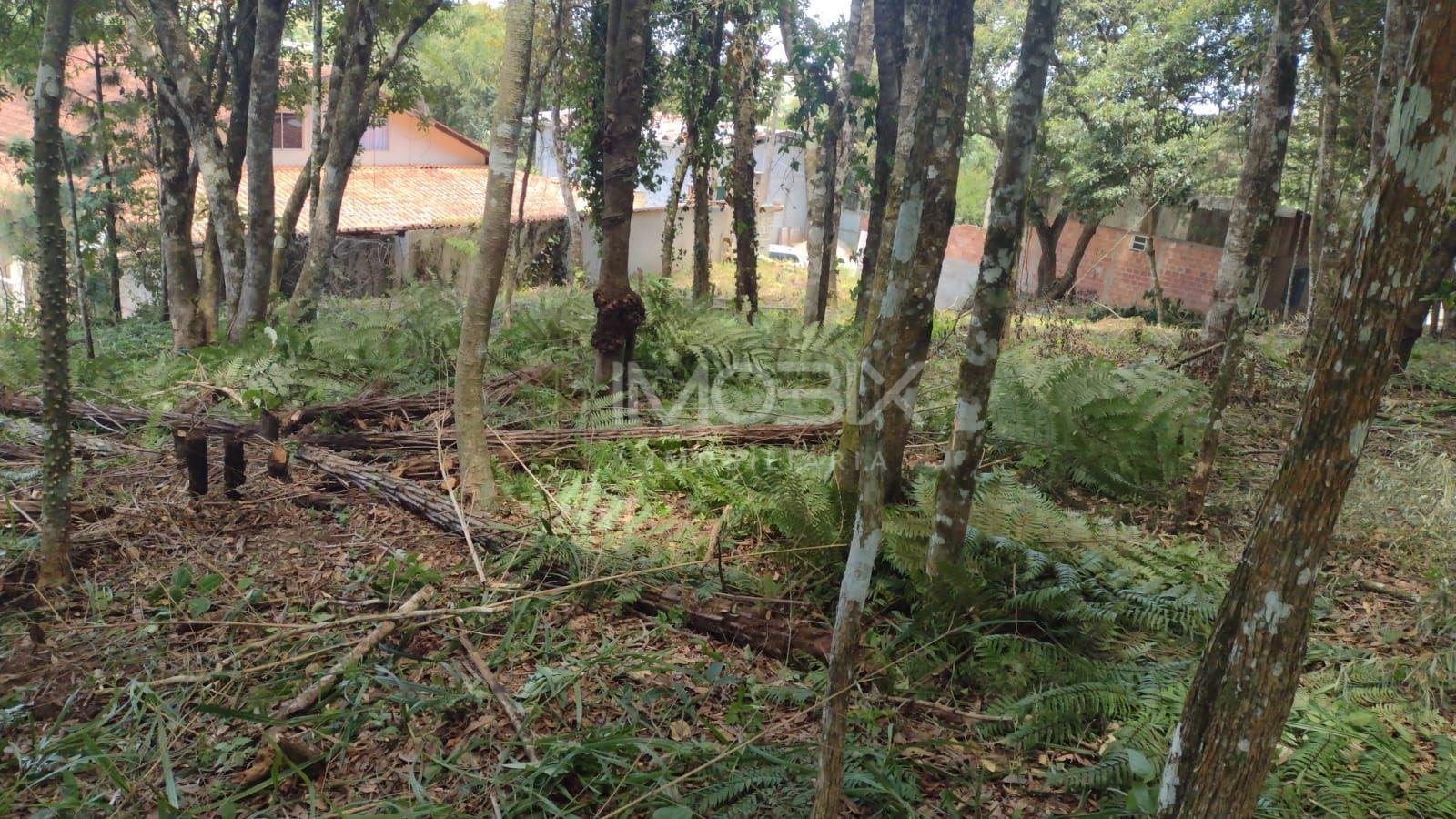 Terreno à venda, VILA GUARANI  , COLOMBO - PR