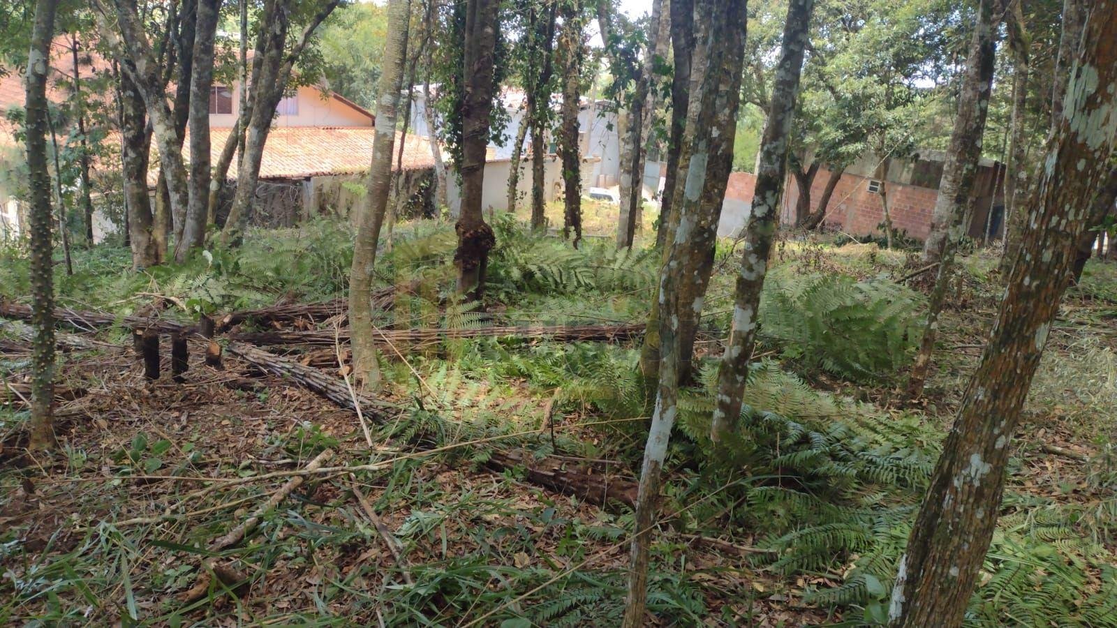 Terreno à venda, VILA GUARANI  , COLOMBO - PR