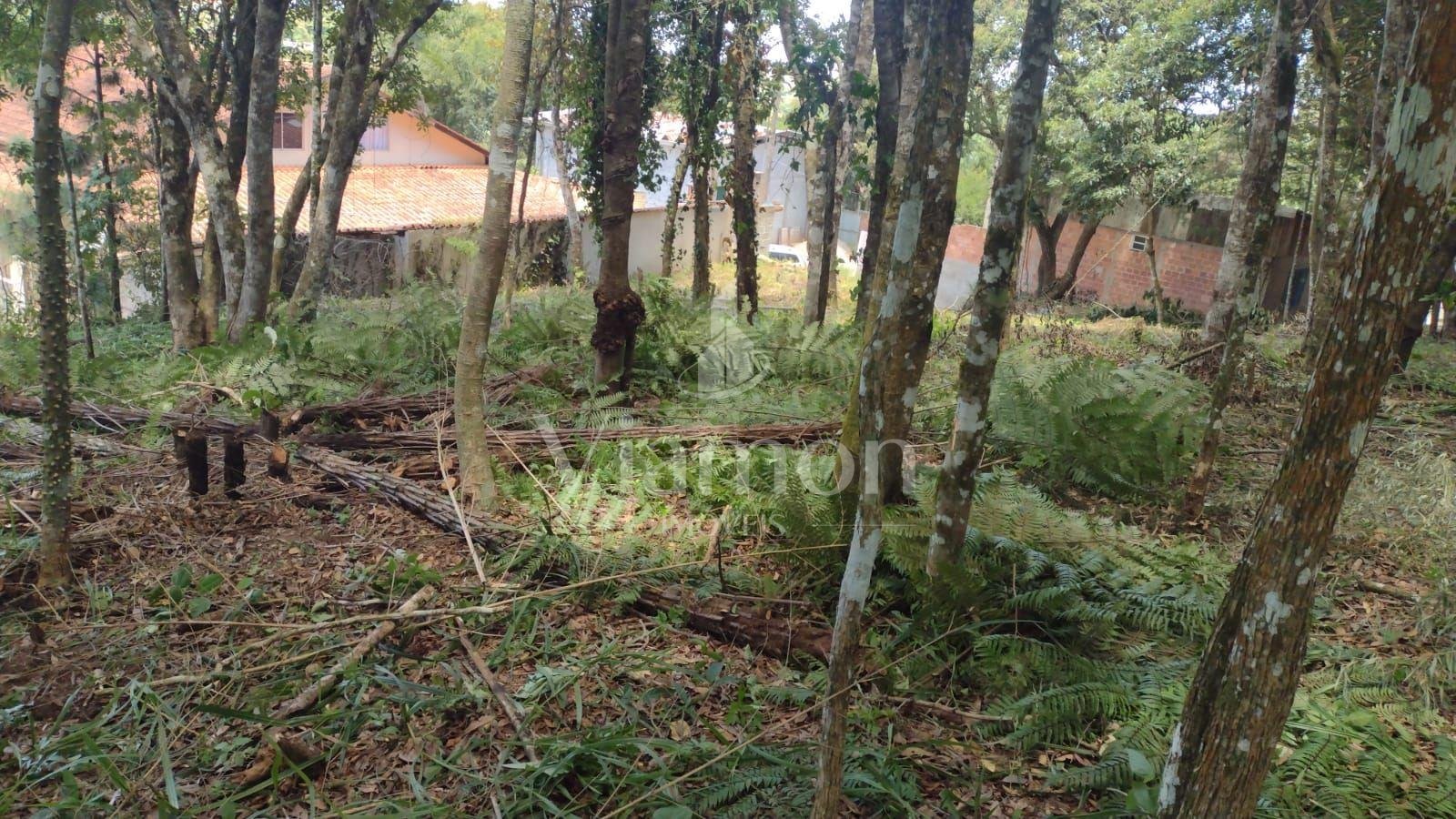 Terreno à venda, VILA GUARANI  , COLOMBO - PR