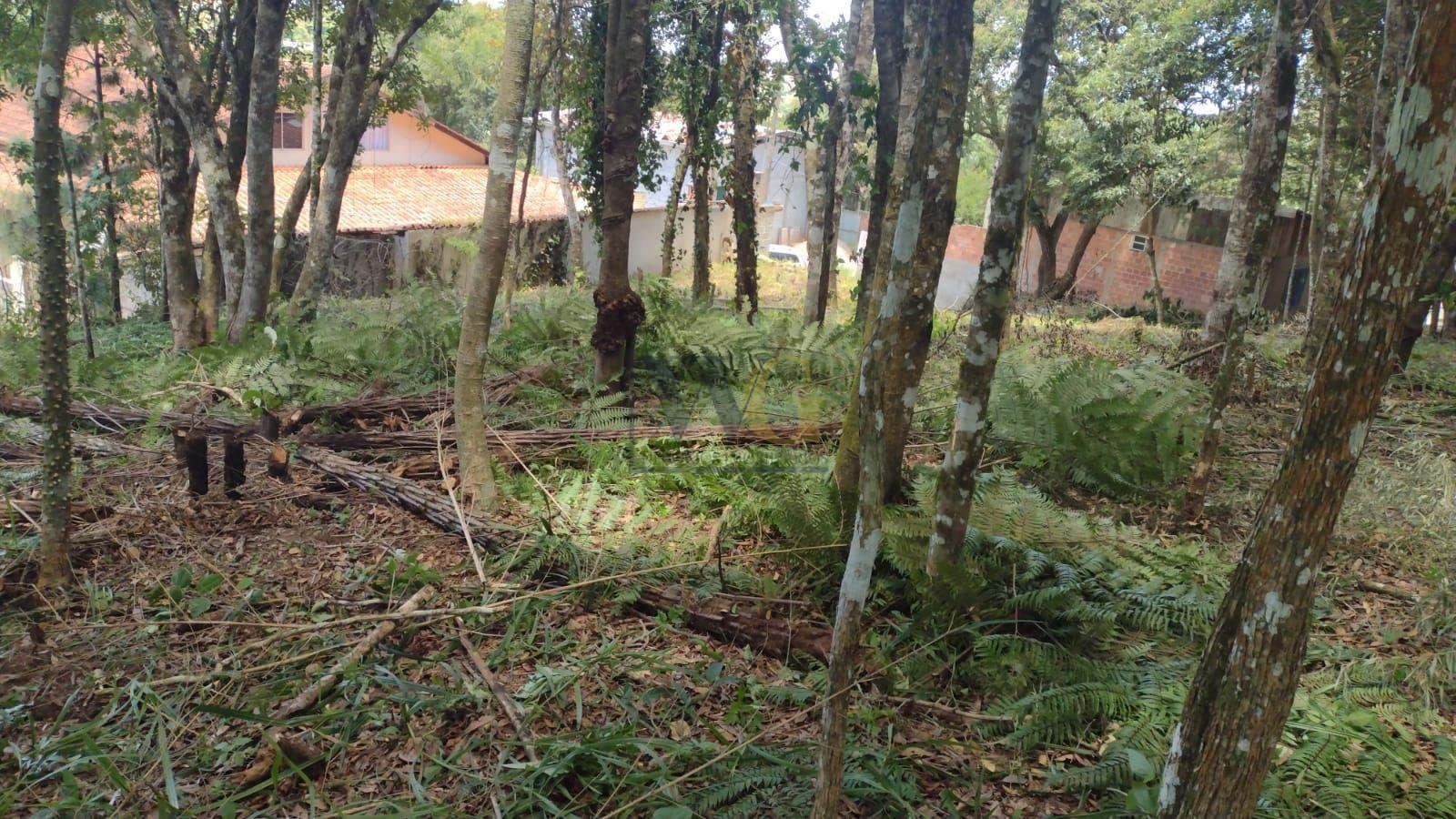 Terreno à venda, VILA GUARANI  , COLOMBO - PR