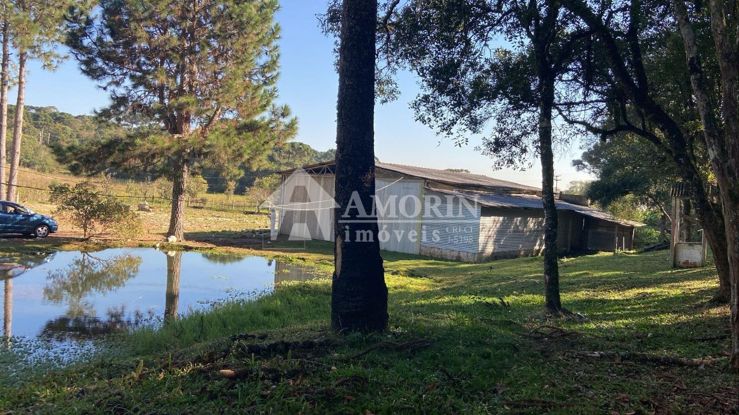 Chácara com 4 dormitórios à venda, SANTA HELENA  , PIRAQUARA - PR