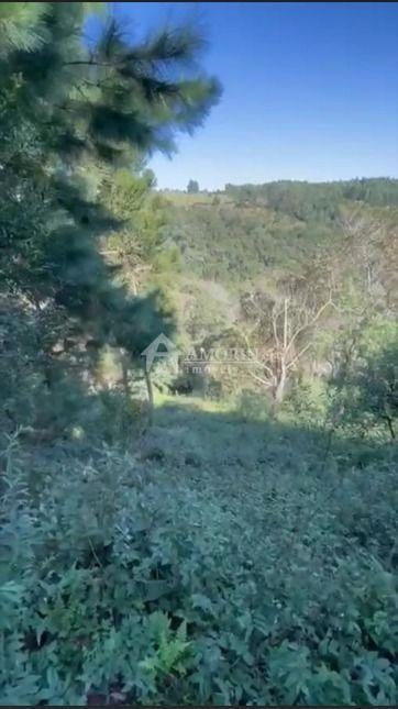 Ótimo Terreno à venda, BATEIAS  , CAMPO LARGO DA ROSEI - PR